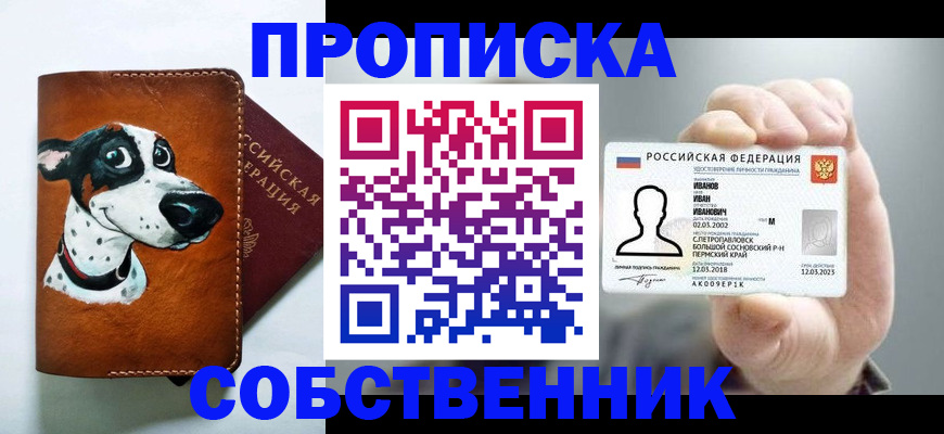 прописка паспорт в Бабаево